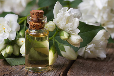 Jasmine essential oil