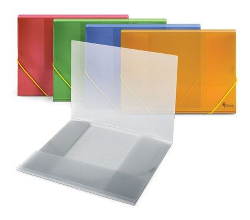 Flap file a4 plastic transparent with elastic image number null