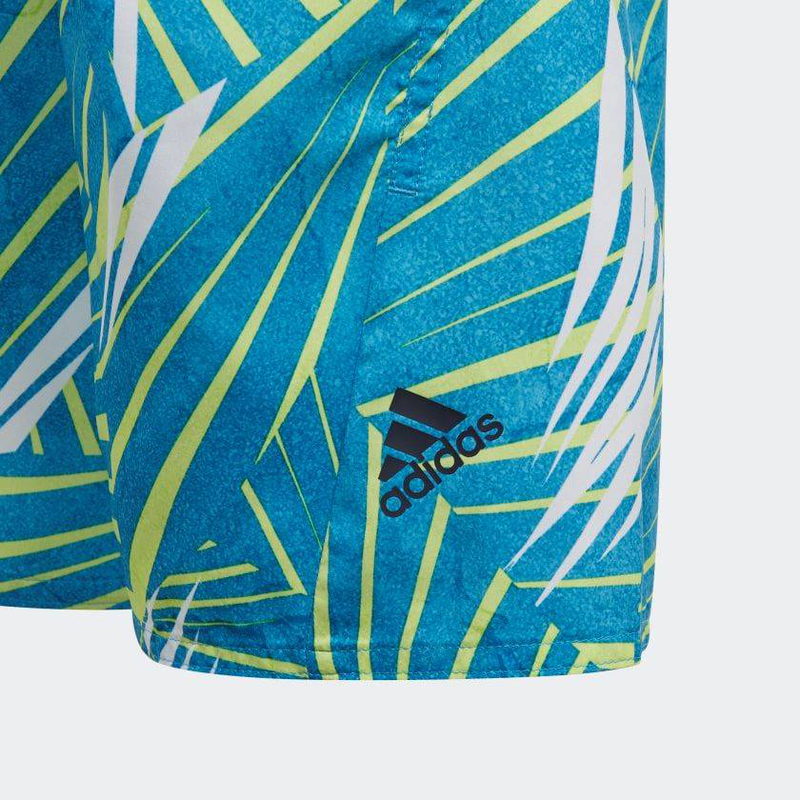 Boys board shorts image number null