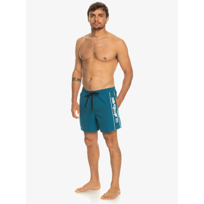 Quicksilver silver men swimwear everyday vert volley