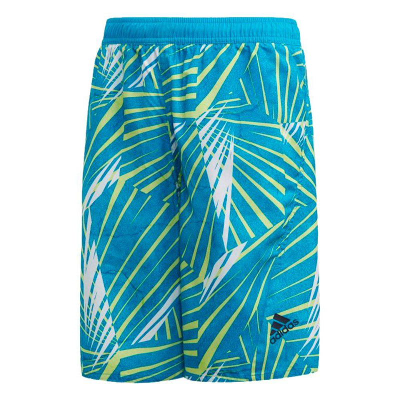 Boys board shorts image number null