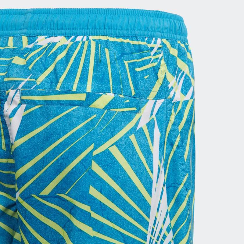 Boys board shorts image number null