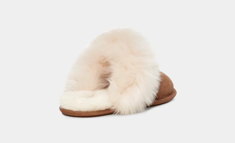 Ugg w scuff sis image number null