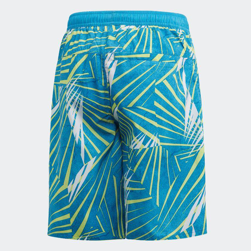 Boys board shorts image number null