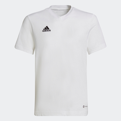 Adidas  ent22  tee y