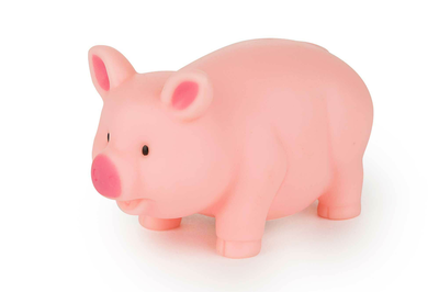 Isabelle laurier bath toy pig