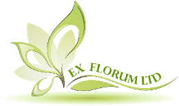 The logo of Ex Florum